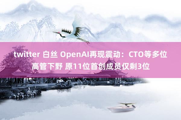 twitter 白丝 OpenAI再现震动：CTO等多位高管下野 原11位首创成员仅剩3位