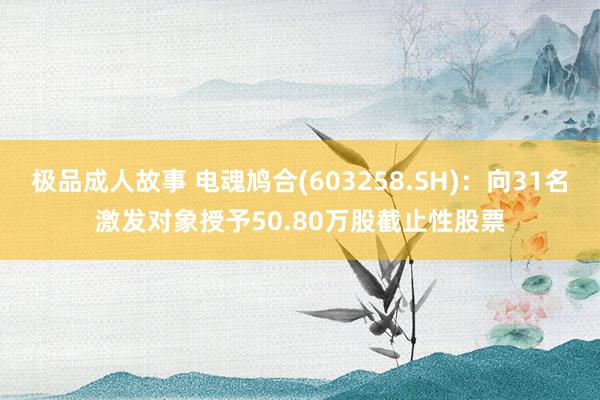 极品成人故事 电魂鸠合(603258.SH)：向31名激发对象授予50.80万股截止性股票