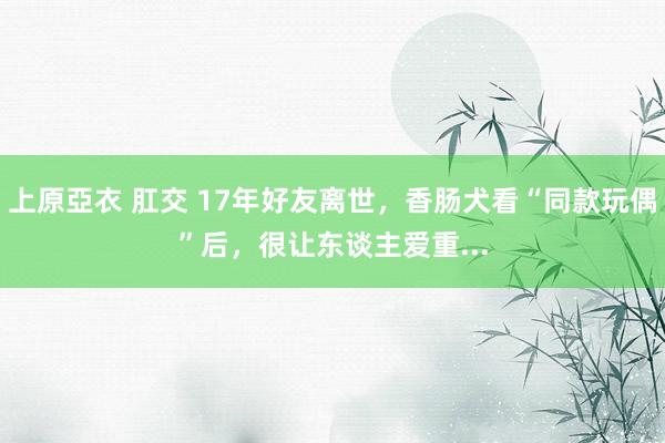 上原亞衣 肛交 17年好友离世，香肠犬看“同款玩偶”后，很让东谈主爱重...