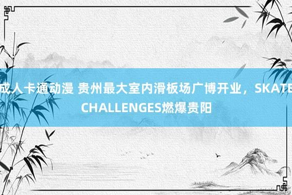 成人卡通动漫 贵州最大室内滑板场广博开业，SKATECHALLENGES燃爆贵阳