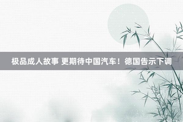 极品成人故事 更期待中国汽车！德国告示下调