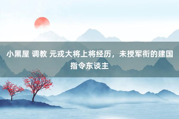 小黑屋 调教 元戎大将上将经历,未授军衔的建国指令东谈主
