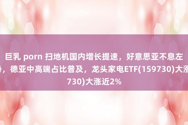 巨乳 porn 扫地机国内增长提速，好意思亚不息左迁趋势，德亚中高端占比普及，龙头家电ETF(159730)大涨近2%