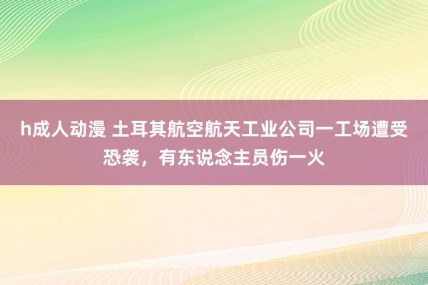 h成人动漫 土耳其航空航天工业公司一工场遭受恐袭，有东说念主员伤一火
