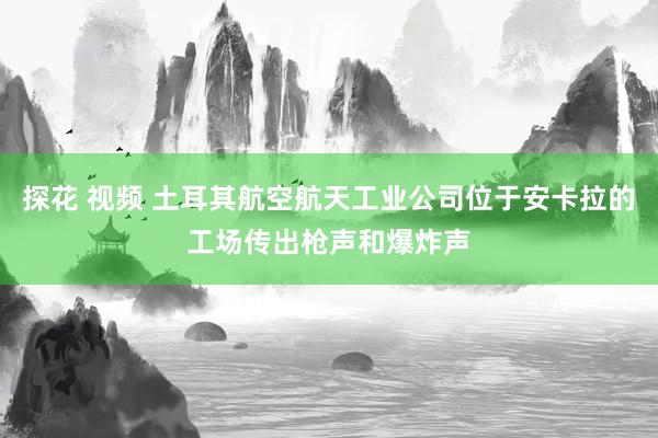 探花 视频 土耳其航空航天工业公司位于安卡拉的工场传出枪声和爆炸声