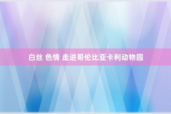 白丝 色情 走进哥伦比亚卡利动物园