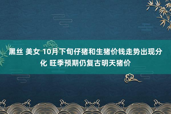 黑丝 美女 10月下旬仔猪和生猪价钱走势出现分化 旺季预期仍复古明天猪价