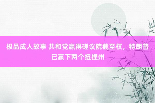 极品成人故事 共和党赢得磋议院截至权，特朗普已赢下两个扭捏州