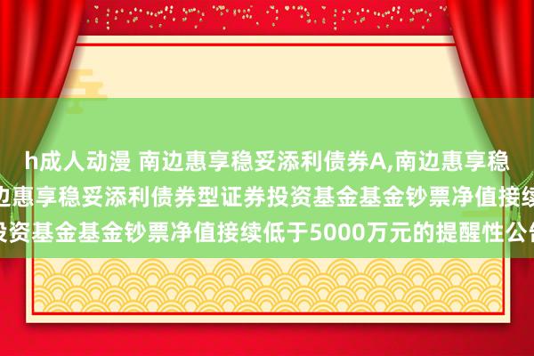 h成人动漫 南边惠享稳妥添利债券A,南边惠享稳妥添利债券C: 对于南边惠享稳妥添利债券型证券投资基金基金钞票净值接续低于5000万元的提醒性公告