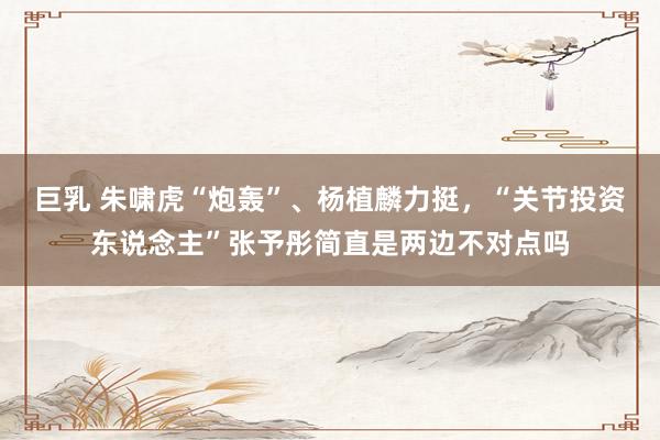 巨乳 朱啸虎“炮轰”、杨植麟力挺，“关节投资东说念主”张予彤简直是两边不对点吗