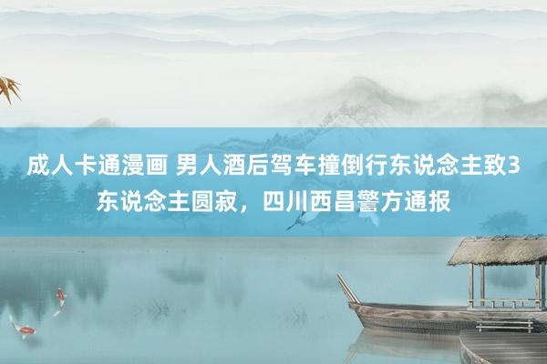 成人卡通漫画 男人酒后驾车撞倒行东说念主致3东说念主圆寂，四川西昌警方通报