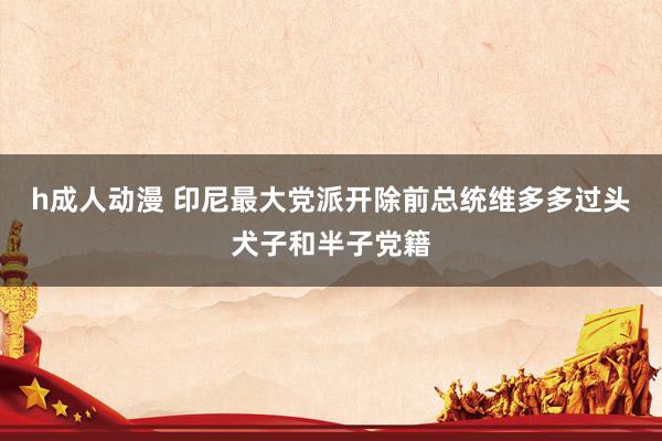 h成人动漫 印尼最大党派开除前总统维多多过头犬子和半子党籍