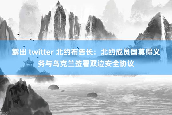 露出 twitter 北约布告长：北约成员国莫得义务与乌克兰签署双边安全协议