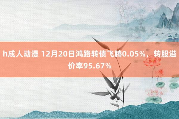 h成人动漫 12月20日鸿路转债飞腾0.05%,转股溢价率95.67%