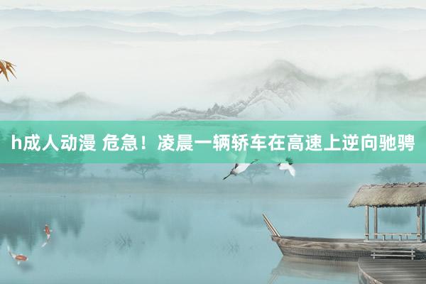 h成人动漫 危急！凌晨一辆轿车在高速上逆向驰骋