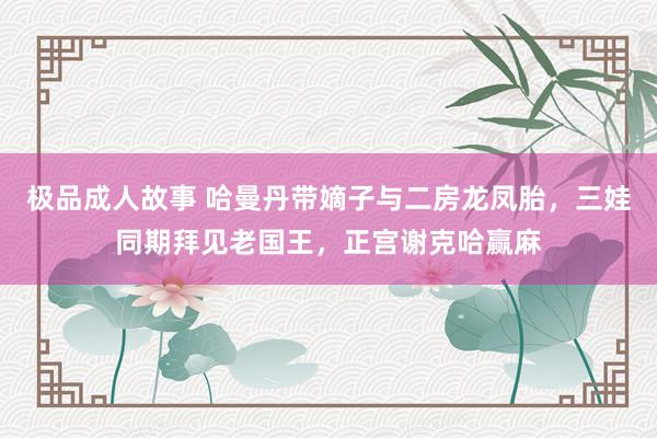 极品成人故事 哈曼丹带嫡子与二房龙凤胎，三娃同期拜见老国王，正宫谢克哈赢麻