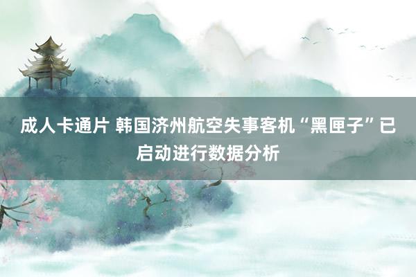 成人卡通片 韩国济州航空失事客机“黑匣子”已启动进行数据分析