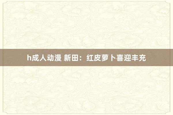 h成人动漫 新田:红皮萝卜喜迎丰充