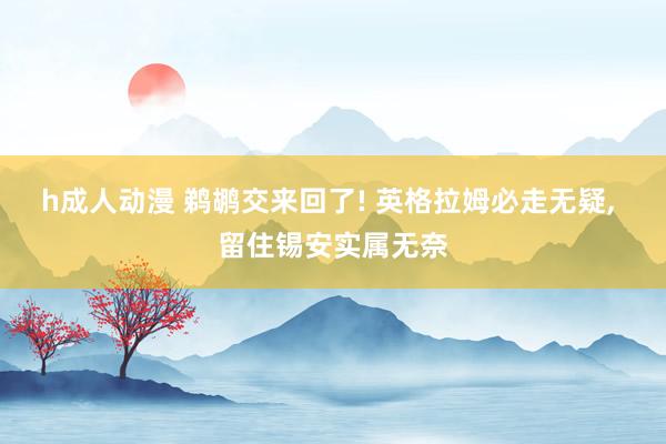 h成人动漫 鹈鹕交来回了! 英格拉姆必走无疑， 留住锡安实属无奈