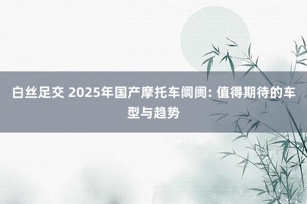 白丝足交 2025年国产摩托车阛阓: 值得期待的车型与趋势