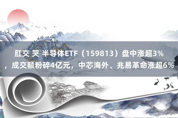 肛交 哭 半导体ETF（159813）盘中涨超3%，成交额粉碎4亿元，中芯海外、兆易革命涨超6%