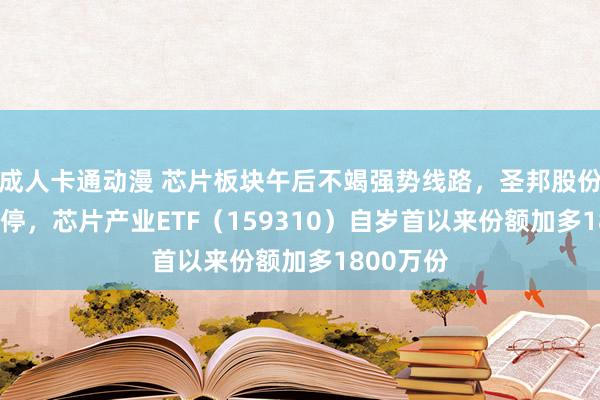 成人卡通动漫 芯片板块午后不竭强势线路，圣邦股份20CM涨停，芯片产业ETF（159310）自岁首以来份额加多1800万份