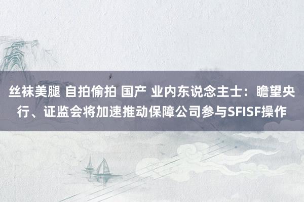 丝袜美腿 自拍偷拍 国产 业内东说念主士：瞻望央行、证监会将加速推动保障公司参与SFISF操作