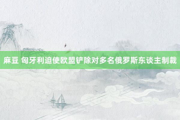 麻豆 匈牙利迫使欧盟铲除对多名俄罗斯东谈主制裁