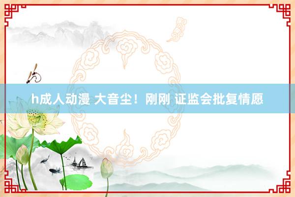 h成人动漫 大音尘！刚刚 证监会批复情愿