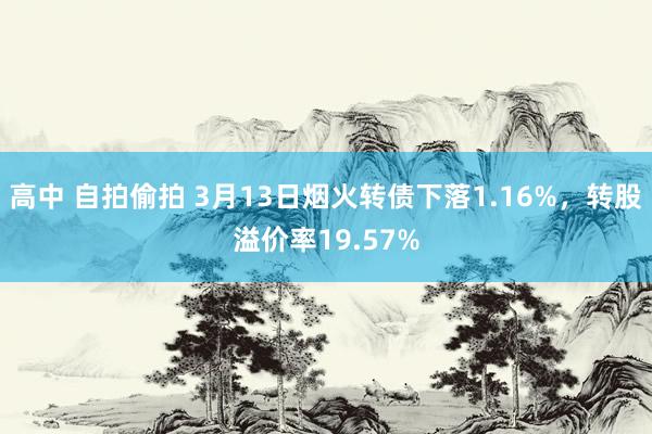 高中 自拍偷拍 3月13日烟火转债下落1.16%，转股溢价率19.57%
