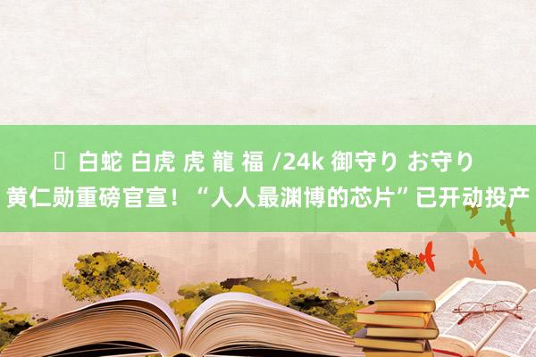 ✨白蛇 白虎 虎 龍 福 /24k 御守り お守り 黄仁勋重磅官宣！“人人最渊博的芯片”已开动投产