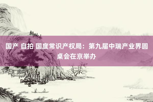 国产 自拍 国度常识产权局：第九届中瑞产业界圆桌会在京举办