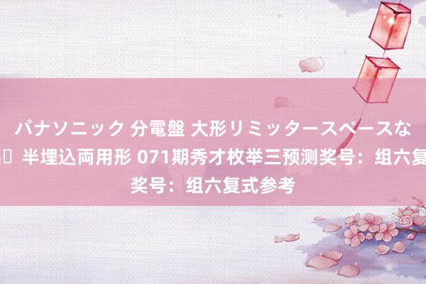 パナソニック 分電盤 大形リミッタースペースなし 露出・半埋込両用形 071期秀才枚举三预测奖号：组六复式参考