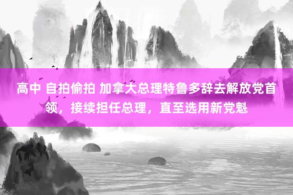 高中 自拍偷拍 加拿大总理特鲁多辞去解放党首领，接续担任总理，直至选用新党魁