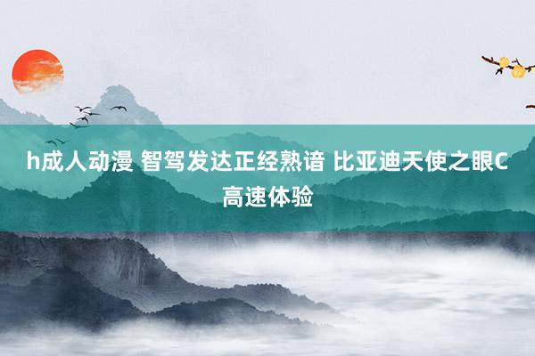 h成人动漫 智驾发达正经熟谙 比亚迪天使之眼C高速体验
