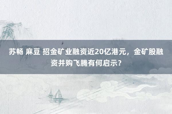 苏畅 麻豆 招金矿业融资近20亿港元，金矿股融资并购飞腾有何启示？