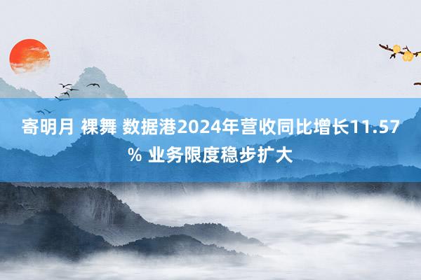 寄明月 裸舞 数据港2024年营收同比增长11.57% 业务限度稳步扩大