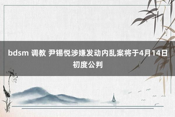bdsm 调教 尹锡悦涉嫌发动内乱案将于4月14日初度公判