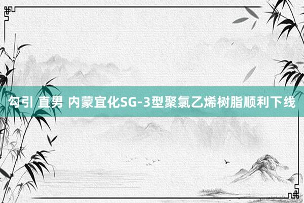 勾引 直男 内蒙宜化SG-3型聚氯乙烯树脂顺利下线