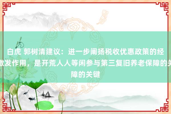 白虎 郭树清建议：进一步阐扬税收优惠政策的经济激发作用，是开荒人人等闲参与第三复旧养老保障的关键