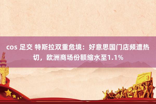 cos 足交 特斯拉双重危境：好意思国门店频遭热切，欧洲商场份额缩水至1.1%