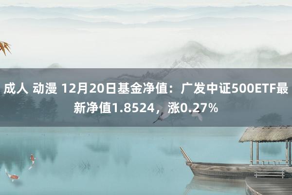 成人 动漫 12月20日基金净值：广发中证500ETF最新净值1.8524，涨0.27%