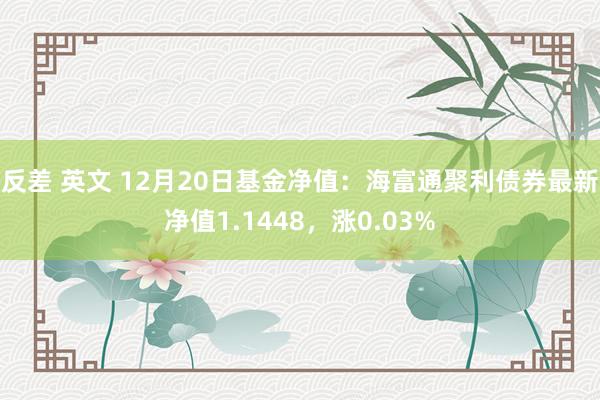 反差 英文 12月20日基金净值：海富通聚利债券最新净值1.1448，涨0.03%