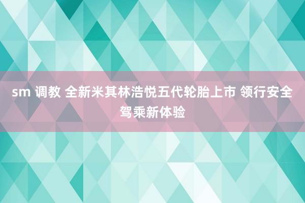 sm 调教 全新米其林浩悦五代轮胎上市 领行安全驾乘新体验