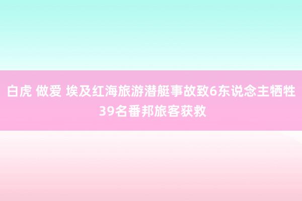 白虎 做爱 埃及红海旅游潜艇事故致6东说念主牺牲 39名番邦旅客获救