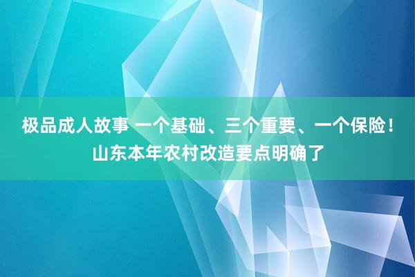 极品成人故事 一个基础、三个重要、一个保险！山东本年农村改造要点明确了