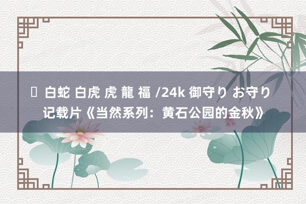 ✨白蛇 白虎 虎 龍 福 /24k 御守り お守り 记载片《当然系列：黄石公园的金秋》